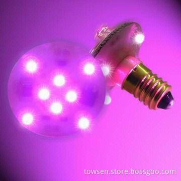 E10 LED Amusement Light for Theme Park, with 12pcs LED, 24/60V